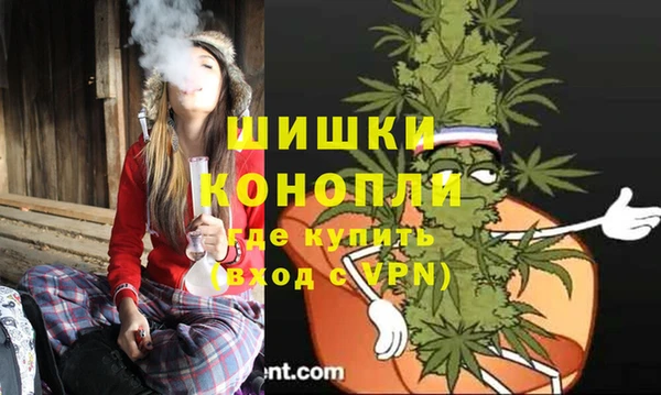 шишки Абаза